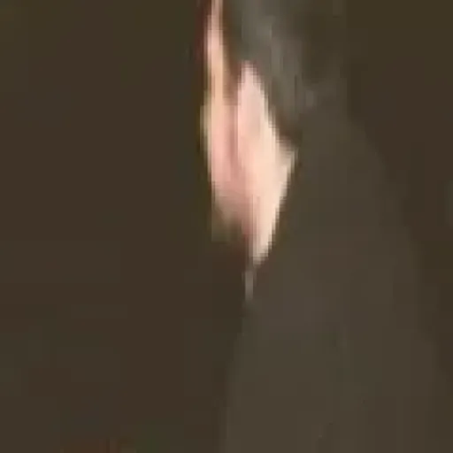 Devran Demir