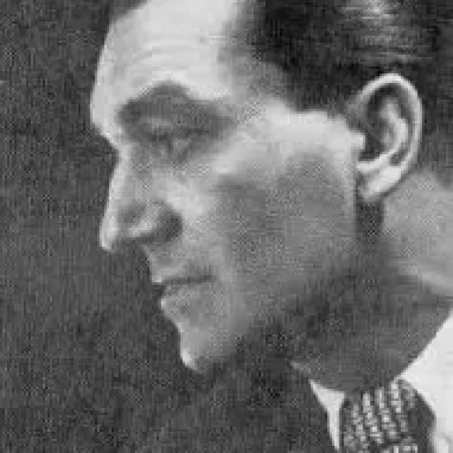 Vladimir Holan